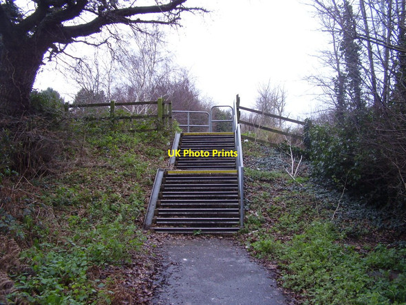 Photo 6"x4" Pinn Lane is no more Monkerton c2014