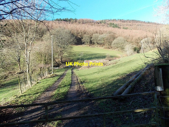Photo 6"x4" Twin tracks into a field from Darran Road north of Risca Risca c2014