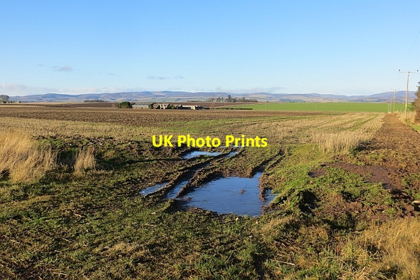 Photo 6"x4" Field, Ardovie Pickerton c2014