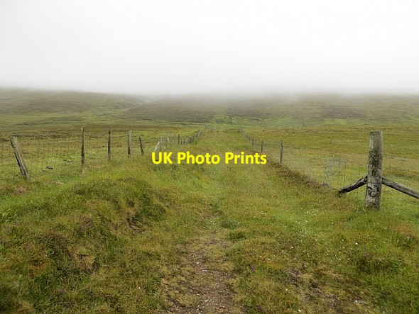 Photo 6"x4" Track, Alma Baliasta\/HP6009 c2013