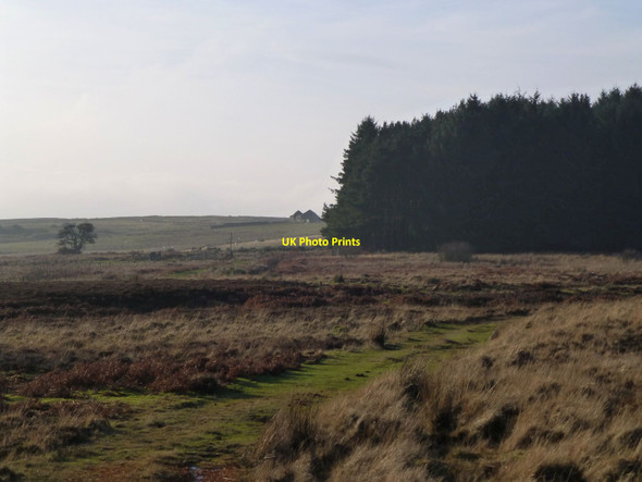 Photo 6"x4" A derelict building at Brownridge Warenford c2014