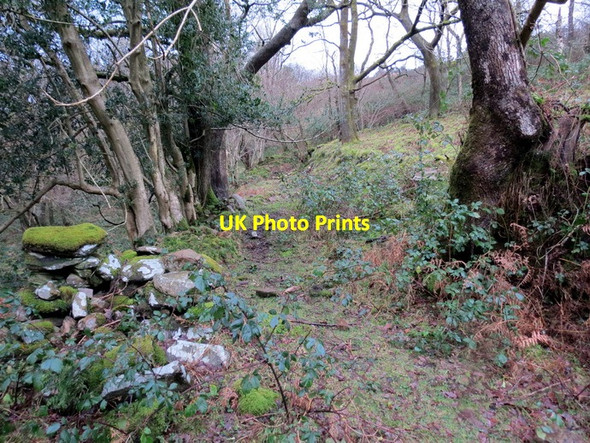 Photo 6"x4" Hen heol i Cwm Cathan Isaf \/ Old road to Cwm Cathan Isaf Garn-swllt c2014