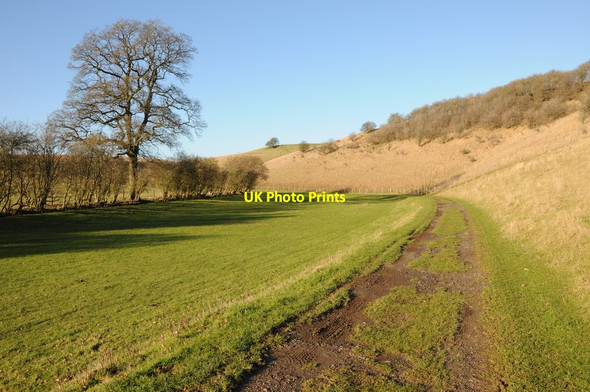 Photo 6"x4" Cotswold valley Turkdean c2013