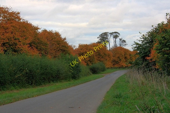 Photo 6"x4" Greenhow Avenue Ingleby Greenhow c2008