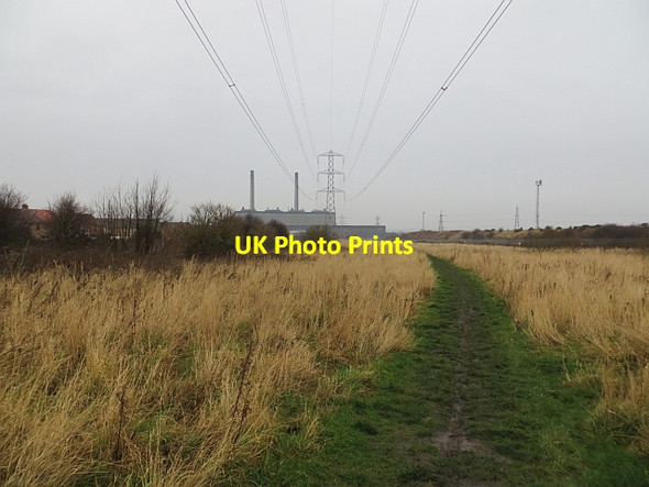 Photo 6"x4" Path, Thorntree Mains Cockenzie and Port Seton c2014