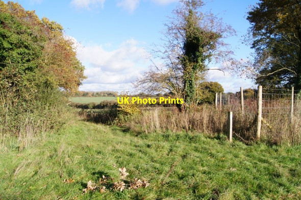 Photo 6"x4" Where the footpath goes East Stratton c2013