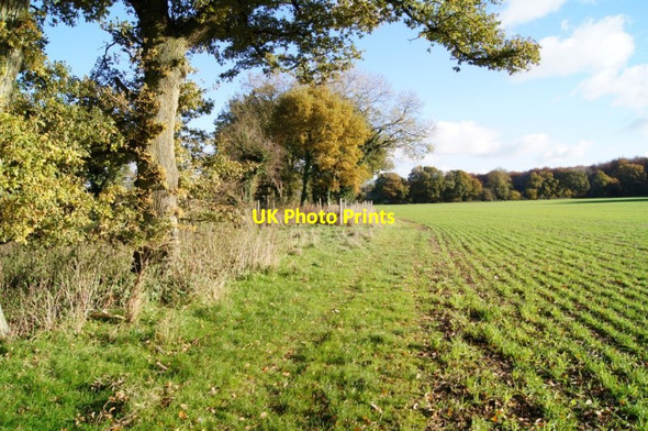 Photo 6"x4" South Down Lane (bridleway) East Stratton c2013