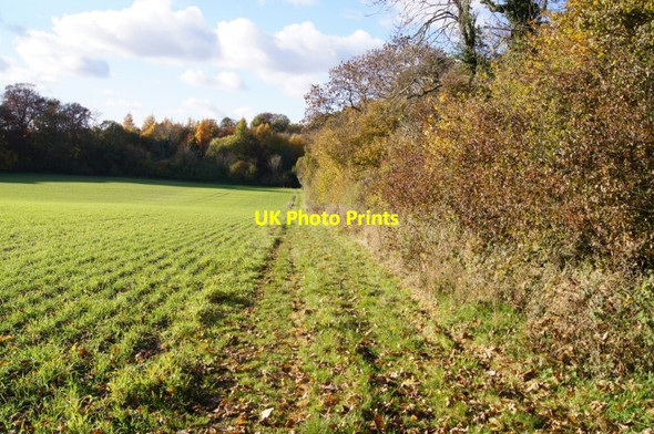 Photo 6"x4" South Down Lane (bridleway) East Stratton c2013
