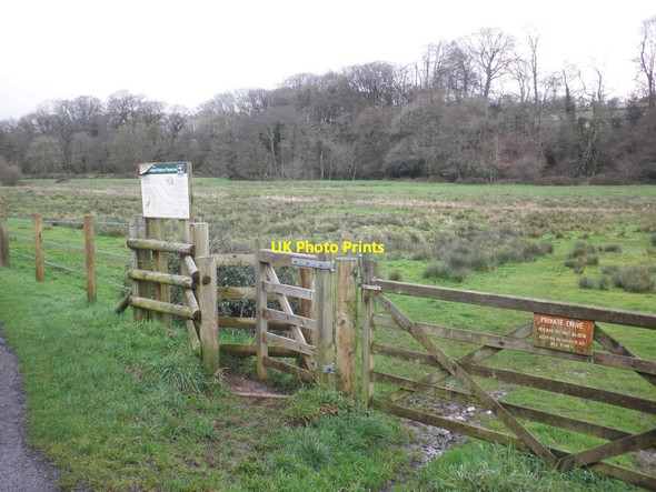 Photo 6"x4" Rewe Mead Nature Reserve Holywell Lake c2014