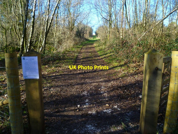 Photo 6"x4" Bridleway near Gumber Corner Bignor c2014