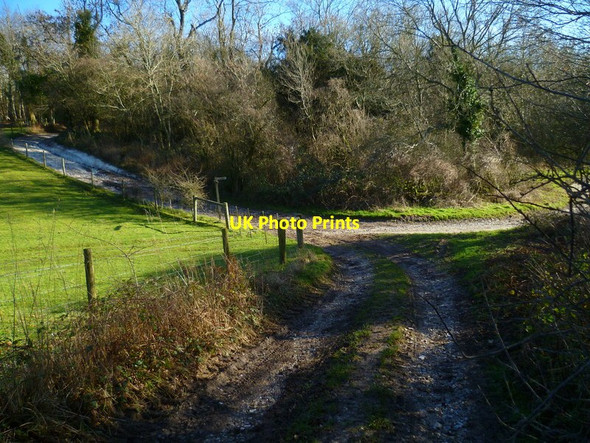 Photo 6"x4" Bridleway junction in the valley Upwaltham c2014