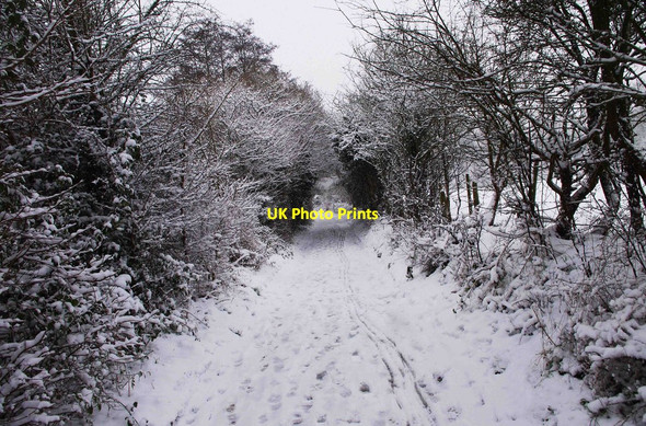 Photo 6"x4" Timber Lane in winter, Stourport-on-Severn Stourport-on-Severn c2013