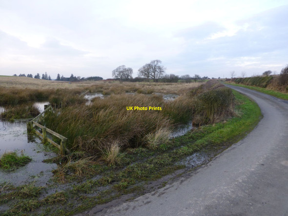 Photo 6"x4" Marshy corner of a field Causey Park Bridge c2014