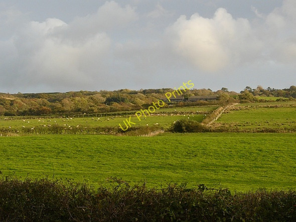 Photo 6"x4" Grazing land near Pontyberem Pontyberem c2008