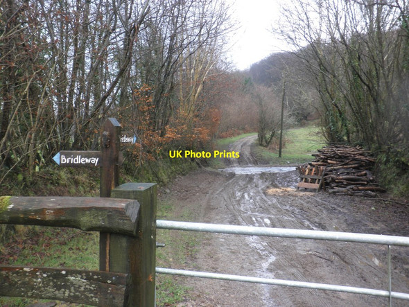 Photo 6"x4" Bridleway and ford, Codsend Codsend c2014