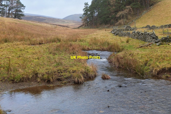 Photo 6"x4" Easton Burn at Harrowhope Stobo c2014