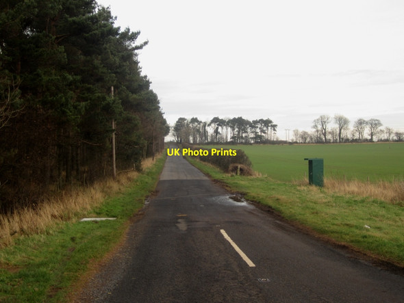 Photo 6"x4" Country road towards Coldingham Ayton\/NT9261 c2014