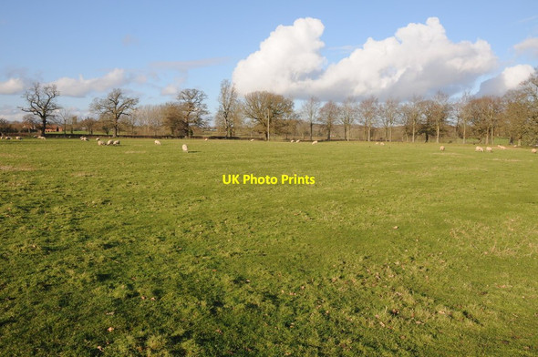 Photo 6"x4" Parkland, Forthampton Lower Lode c2014