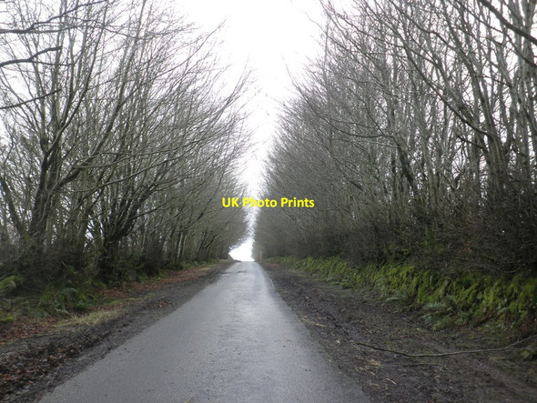 Photo 6"x4" Wellshead Lane Edgcott\/SS8438 c2014