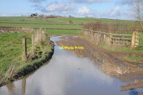 Photo 6"x4" View to Bushley Park Tewkesbury c2014