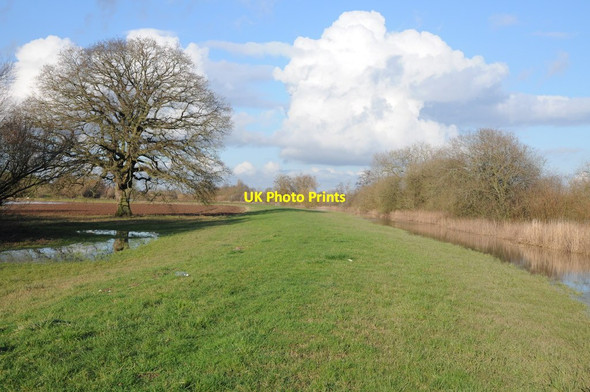 Photo 6"x4" Flood bank near Lower Lode Tewkesbury c2014