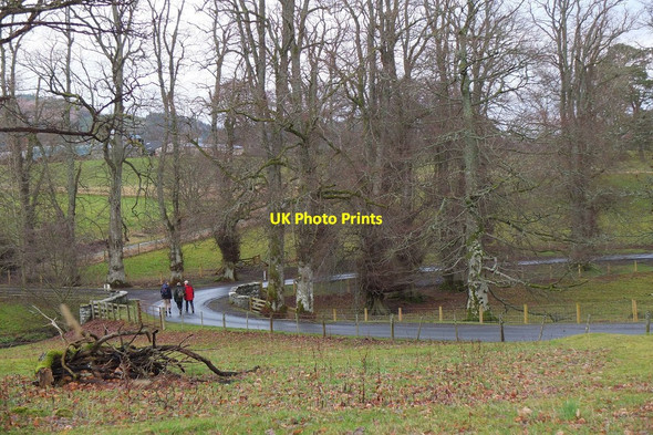 Photo 6"x4" Entrance drive to Stobo Castle Bellspool c2014