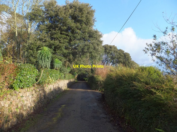 Photo 6"x4" South West Coast Path on the west of Carbis Bay St Ives\/SW5140 c2014