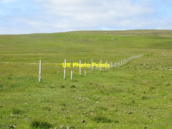 Photo 6"x4" Myres of Houbie Houbie\/HU6290 c2013