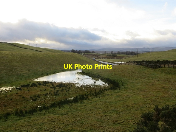 Photo 6"x4" Wetland, Howgate Penicuik c2014