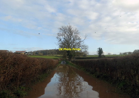 Photo 6"x4" Flooded Lane at Hanbury Astwood\/SO9365 c2014
