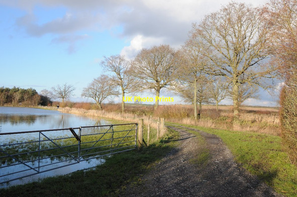 Photo 6"x4" Farm track, Longdon Marsh Marsh End c2014