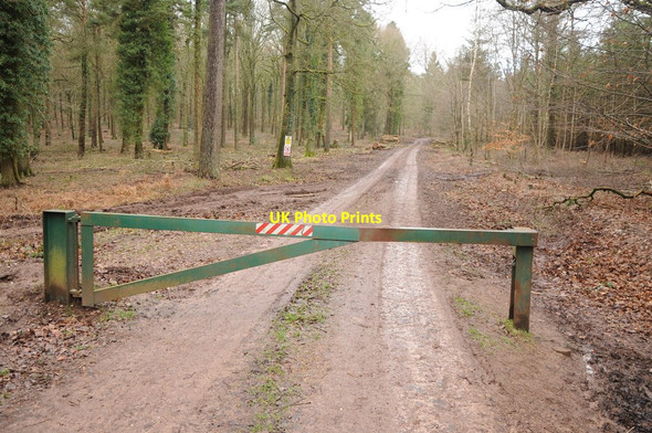 Photo 6"x4" Gate on forest track Upper Soudley c2014
