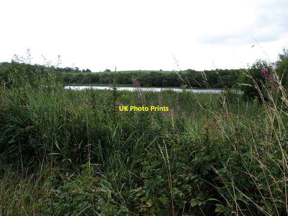 Photo 6"x4" Roosky Lough from the L3505 road Canningstown c2013