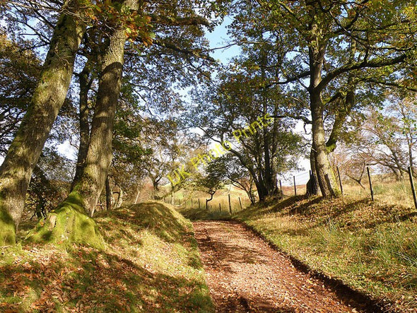 Photo 6"x4" Footpath near Llanfihangel Nant Bran Llanfihangel Nant Bran c2008 P1