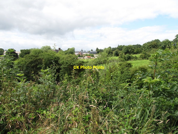 Photo 6"x4" View across the incised valley towards the northern outskirts of Canningstown Canningstown c2013