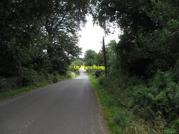 Photo 6"x4" View southwestwards along the L3505 towards the Knockbride East T-junction Drumeague c2013