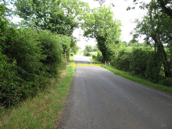 Photo 6"x4" View eastwards along the L3505 in the Townland of Drumamuck Glebe Drumeague c2013