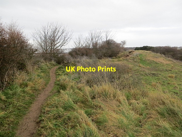 Photo 6"x4" Coast path, Longniddry Longniddry c2014