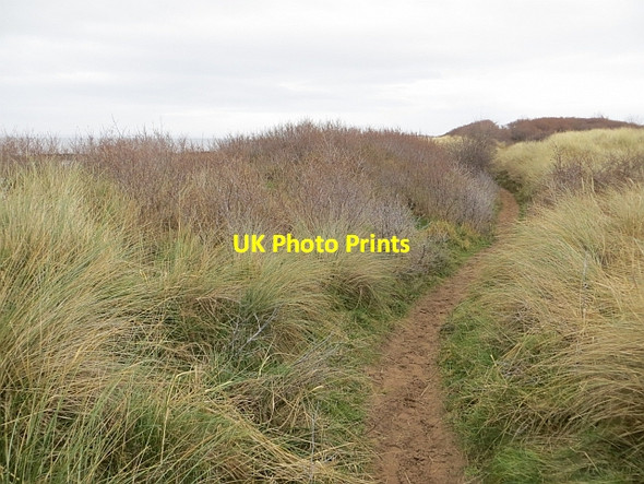 Photo 6"x4" Coast path, Longniddry Longniddry c2014 P2