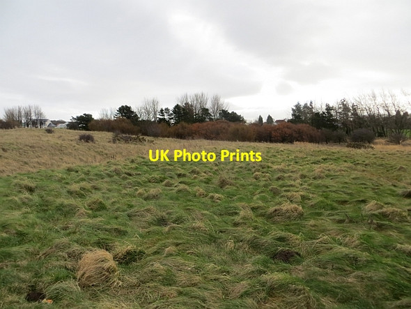 Photo 6"x4" Links,  Longniddry Longniddry c2014