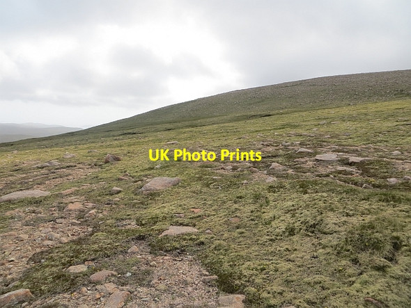 Photo 6"x4" Roga Field North Collafirth c2013