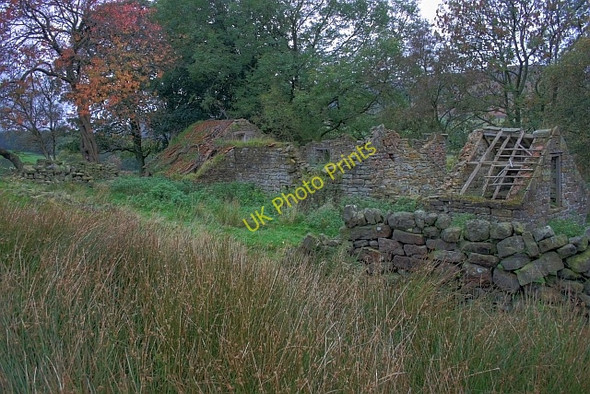 Photo 6"x4" Crow Nest Hawnby c2008