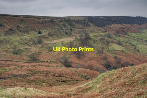 Photo 6"x4" Raven Hill Street\/NZ7304 c2014