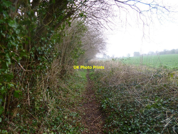Photo 6"x4" Downton, footpath Downton\/SU1821 c2014
