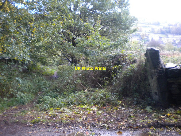 Photo 6"x4" Top of Wood Lane, Holmfirth Holmfirth c2013