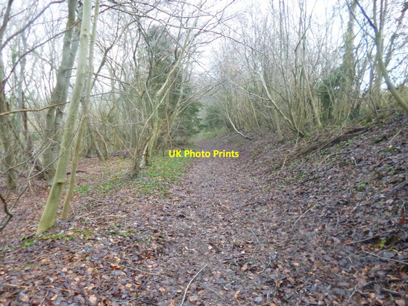 Photo 6"x4" Barford Down, restricted byway Morgan's Vale c2014