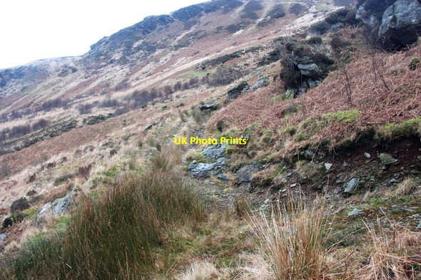 Photo 6"x4" The eastern slopes of A' Chruach A' Chruach\/NS0483 c2014