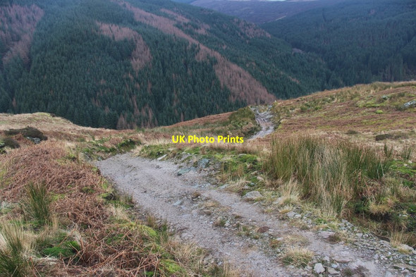 Photo 6"x4" Gleann Laoigh Conchra\/NS0288 c2014
