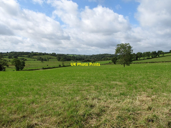 Photo 6"x4" Harvested hay field on the northern edge of the hamlet of Corraneary Canningstown c2013
