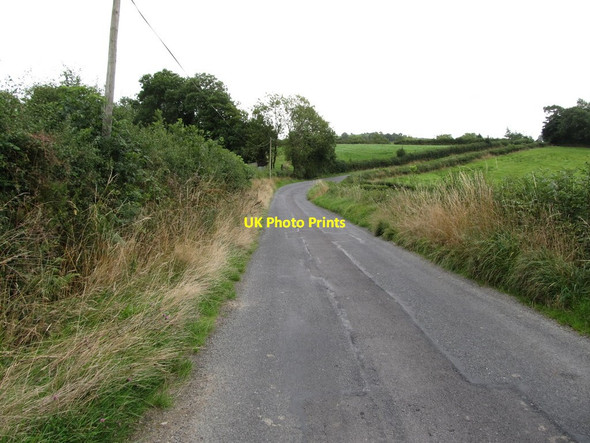 Photo 6"x4" View north along the Corraneary Road at Killnacrew Canningstown c2013